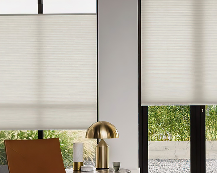 White honeycomb blinds from a modern window