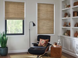 Natural shades in the livingroom at day