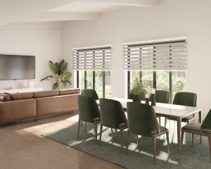 Window shades in a sunny living room